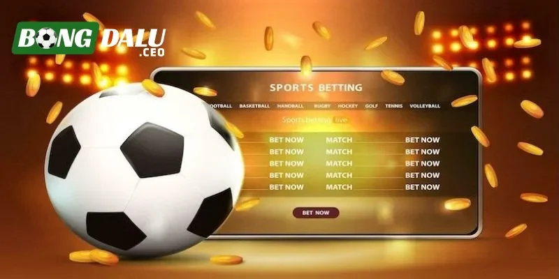 Kinh nghiệm chơi kèo cược 0.5 chi tiết